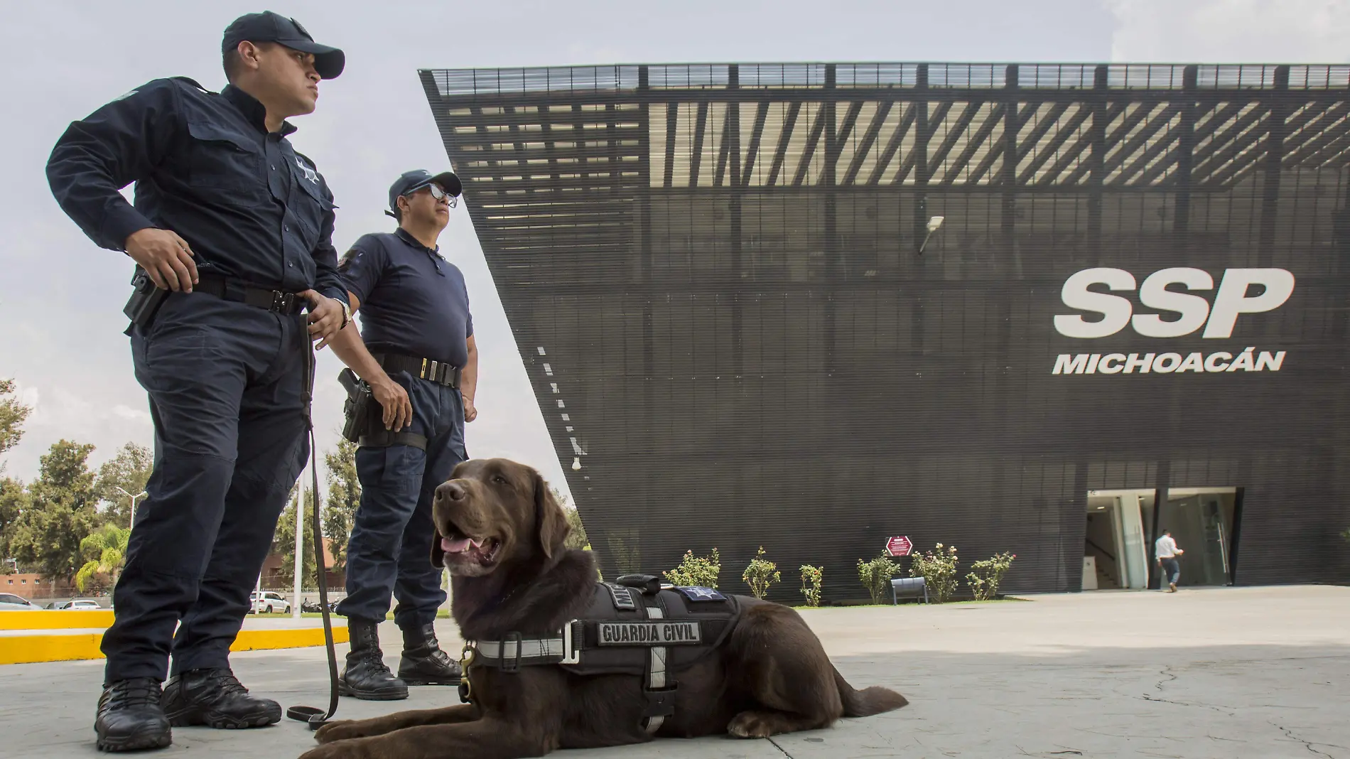 PERROS POLICIAS_AJO